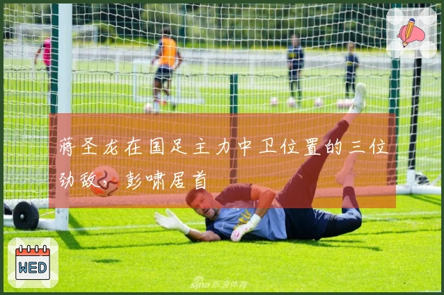 蒋圣龙在国足主力中卫位置的三位劲敌，彭啸居首