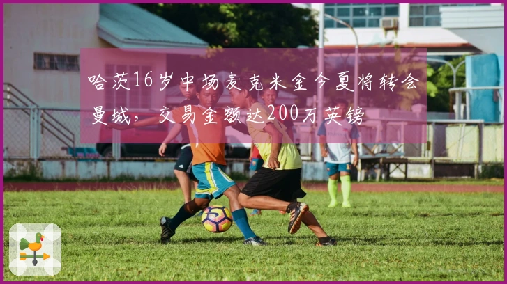 哈茨16岁中场麦克米金今夏将转会曼城，交易金额达200万英镑